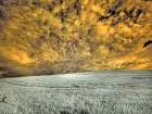 USA-Washington State-Palouse-wheat field and clouds Art Print